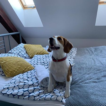 Hostel Przed Świtem Gorzów Wielkopolski Buitenkant foto